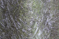 Wick Hill fibreglass roof work